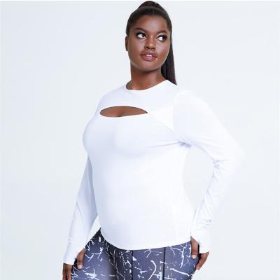 China L-4XL Plus Size Women Yoga Tops Fitness Sports Breathable T-Shirts Long Sleeve Crop Top Gym Running Active Wear for sale