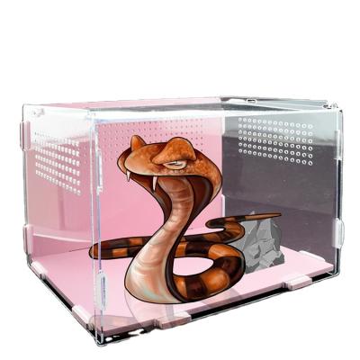 China Viable Reptile Mini Greenhouse Glass Cage For Rainforest Pet Cagefor Climbing Snake Frog Gecko Metal Net for sale