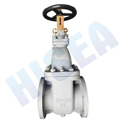 China jis f7363 5k marine cast iron use marine gate valves for sale