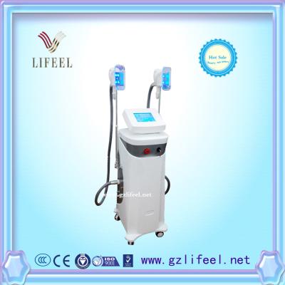 China Two heads Fat freezing slimming machine weight loss beauty equipment for sale