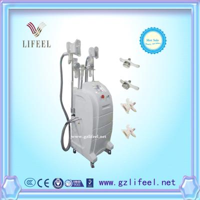 China hottest Fat freezing slimming machine weight loss beauty equipment for sale