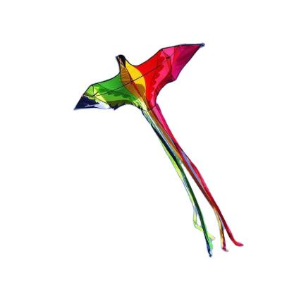 China Toy High quality and wholesale kites of the latest design snake kite flying line triangle phoenix kite for sale