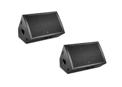 China High Power Full Range Speaker 450 Watts 8 Ohm 15 inch Stage Monitor speaker for sale