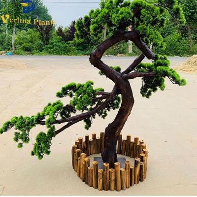 China Factory Directly High Selling Environmentally Friendly Simulated Decorative Artificial Potted Pine for sale