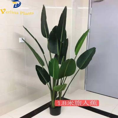 China Environmentally Friendly Decorative Indoor Potted Artificial Rubber Tree Bonsai Plants for sale