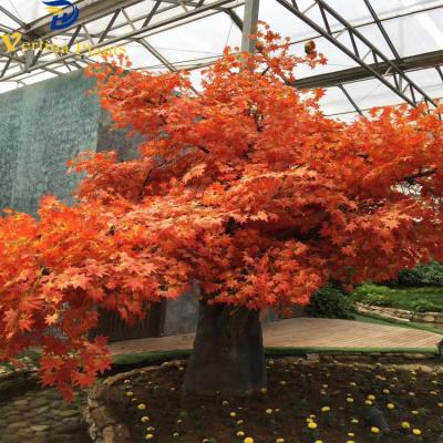 China Environmental friendly simulation indoor decorative red high leaves fiberglass artificial maple trees for sale for sale