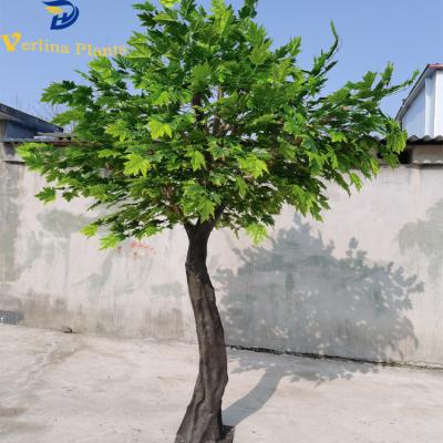 China Environmental Friendly High Quality Silk Leaves Japanese Maple Green Indoor Decorative Artificial Tree for sale