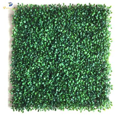 China Environmental Friendly Boxwood Grass Topiary Wall Panels Hanging Dense Plant Grass Artificial Turf for sale