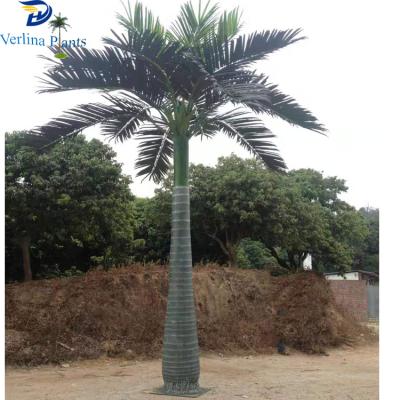 China Environment Friendly Medium Height Outdoor Decorative Fiberglass Landscape Artificial Coconut Trees for sale