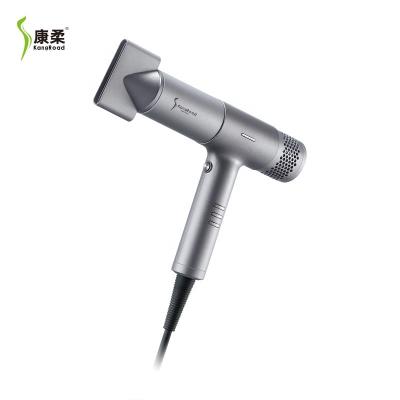 China Professional Vivid Best Selling Negative Negative Ion Holders Flight Hair Dryer Pet Leafless High Speed ​​Brush Professional Vivid Foldable One for sale