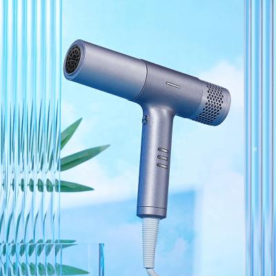 China Professional Best Selling Stage Strong Cordless Rechargeable Nova Hair Dryer Pet Brush High Negative Flight One Foldable One for sale