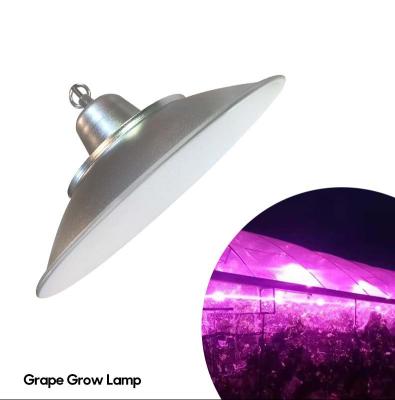 China Seed Growing Professional Lighting Indoor Plants Led Growlights Led Grow Light 2021 Spectrum Bulb For Growing Light for sale