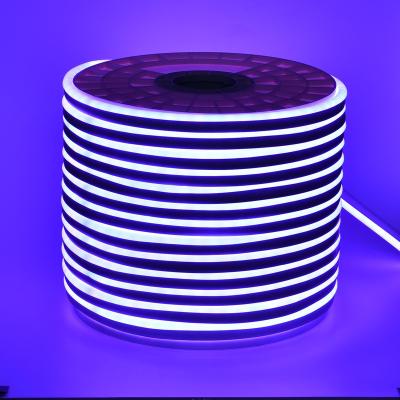 China Gently all kinds of waterproof LED high-grade decorative lights around the flexible colorful light belt for sale