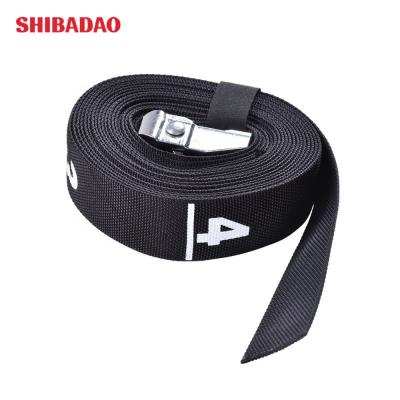 China Carrying Cargo Lashing Strap Ratchet Webbing Tie Down With Zinc Alloy Buckle Lashing Polyester Strap for sale