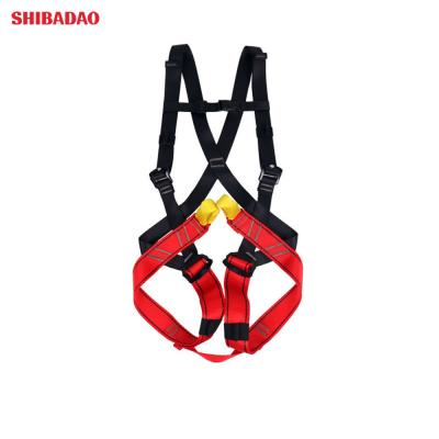 China 2019 Hot Selling Fall Protection Equipment Polyester Full Body Climbing Safety Belt Child Body Harness for sale