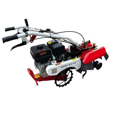 China Rears Diesel Engine Power Rotary Tiller Cultivator for sale