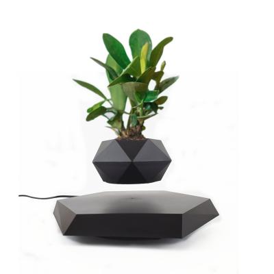 China Modern and creative factory directly sell floating flower pot levitating plant levitating bonsai trees for sale