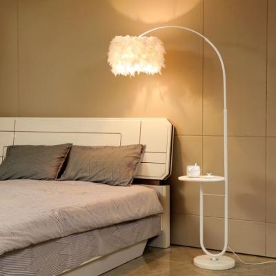 China Modern Nordic Simple Luxury Metal Shade Adjustable Living Room Bedroom Light Floor Lamp Feather Floor Lamp for sale