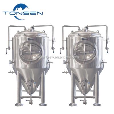 China Brewpub 600L Global Hot Selling Commercial Brewing Equipment/Yeast Spread For Craft Beer Shandong Making for sale