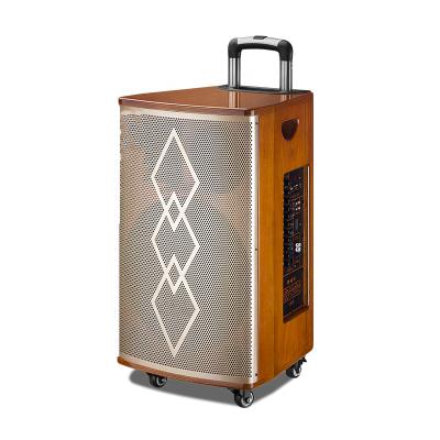 China 2023 PORTABLE New Wood Speaker 12 Inch Outdoor Karaoke Microphone Bluetooth Guitar Instrument Professional Wireless Speaker for sale