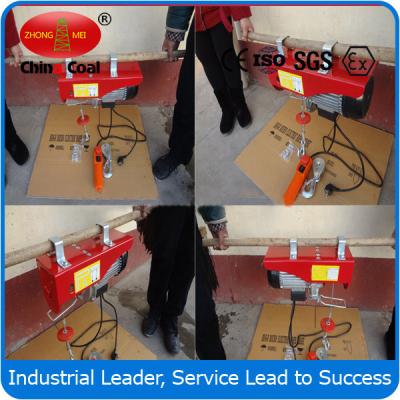 China 100kg 12m Mini Electric Hoist for sale