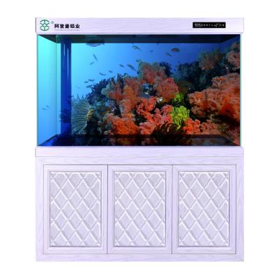 China Super Viable Red Dragon Aquarium Fish Tank Marine Arowana Black Arowana for sale