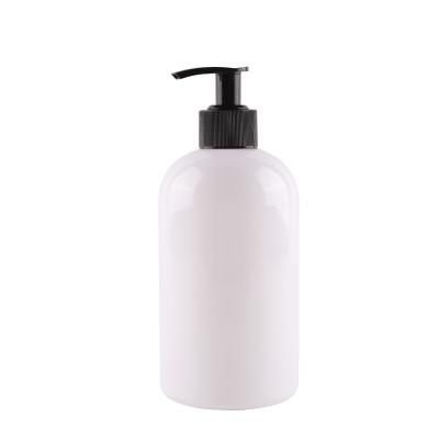 China Sample Bottle Frosted Plastic Pump Bottle Skin Care Hand Wash Liquid Shampoo Bottle Glass Lotion Bottle for sale