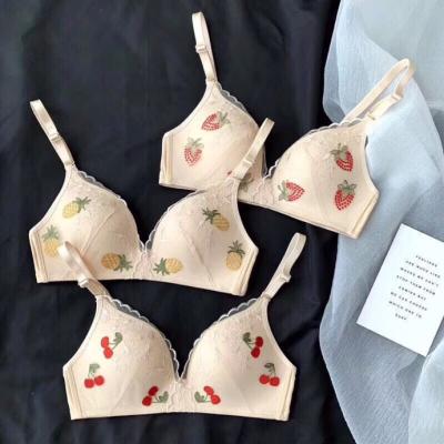 China Anti-Static Radio Lift Up Two-breasted Ladies Bra Embroidery Pattern Bra for sale