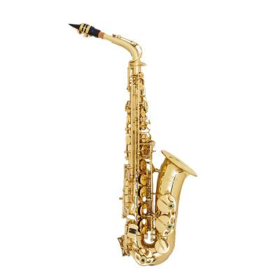 China Beginner / Student Professional Performance Grade Alto Gold Lacquered EB Tone Brass Saxophone for sale