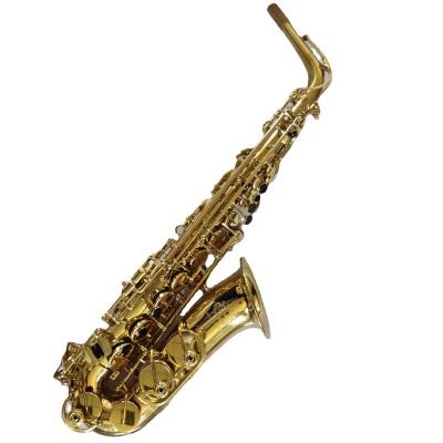 China OEM Professional Advanced Alto Saxophone Good Sound for Beginner/Student for sale