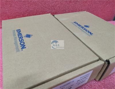 China Multi Function Emerson Deltav VE4003S2B6 KJ3223X1-BA1 Standard I O Termination Block for sale