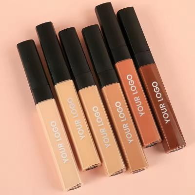 China Portable Liquid Concealer Long Lasting Coverage Beautify Moisturizing Facial Makeup for sale