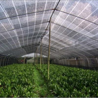 China 2022 Hot Sale Agricultural HDPE Mono Green Shade Net For Agriculture for sale