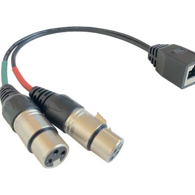 China Car Hayilai RJ45 Adapter Female To Dual Female XLR Audio Adapter Cable For AXIA, Studiohub for sale