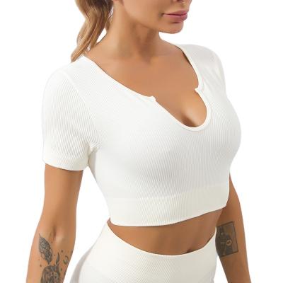 China Breathable Fashionable Sexy Sports Gym Seamless Yoga Wear Women Ribbed Yoga Short Crop Sleeve Top Fitness for sale