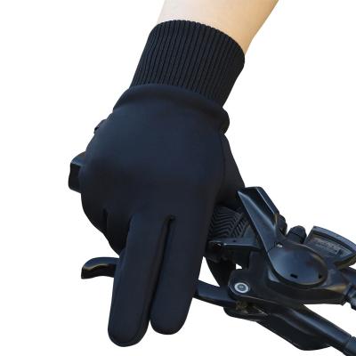 China Twill custom logo warm touch screen gloves for men in winter for sale