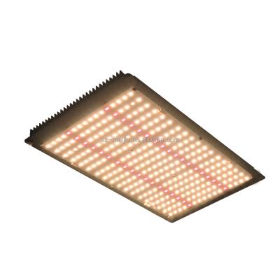 China Seed Starting Hot Selling Amazon MEIJIU QB288 120w Board Samsung Lm301h Folux Plus Board Led Grow Light For Hydroponics Growing for sale