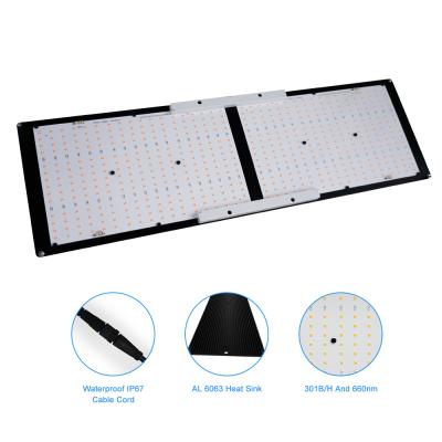 China Seed Starting MEIJIU QB288 Hot Selling Product , 2021 240w V3 240 Watt Growing Light Lm301h Led Grow Light for sale