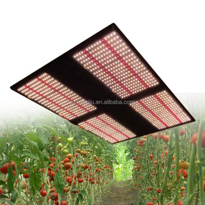 China Seed Starting 2021 Hot Sale Meijiu To Waterproof Dimmable Hydroponic To Grow Light 480W 3500K 660Nm Red Lm301H Lm301B Samsung Led Grow Lights for sale