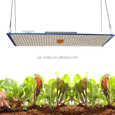 China Seed Starting 240W Dimmable Full Spectrum Lm301H MEIJIU QB288 Board Samsung 240W Watt Led To Grow Light for sale