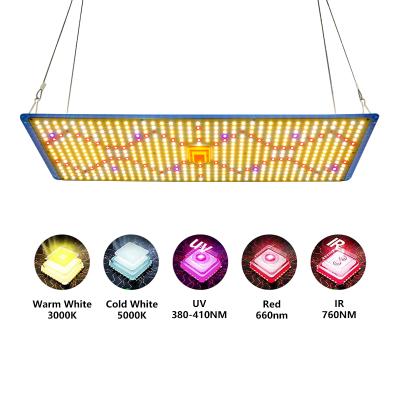 China Seed Starting Meijiu Led Panel 240W 480W Best Selling Watt Red Led Grow Lights , Samsung Lm281B With Red 660Nm LED 395Nm UV for sale