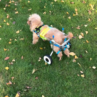 China Wholesale Eco-friendly Pet Walk Wheelchair Dog Wheelchair Dog Car Disability Disability Scooter for sale