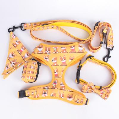 China High Quality Customized Wholesale DETACHED No Pull Dog Harness and Leash Set Personalized Custom Dog Chest Harness Collar Lead Set for sale