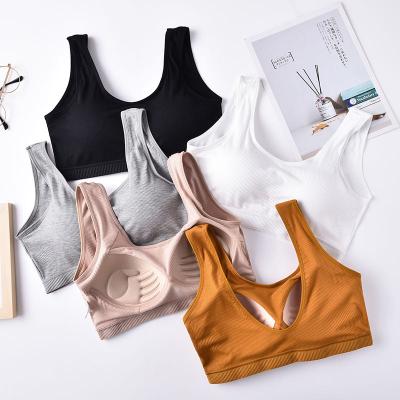 China Breathable Ladies Girls Fitness Gym Yoga Running Bra Tops Custom Logo Exercise Workout Women Sports Bra for sale