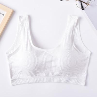 China New Design Breathable Working To Wear Wholesale Fitness Yoga Sports Top Bra For Women for sale