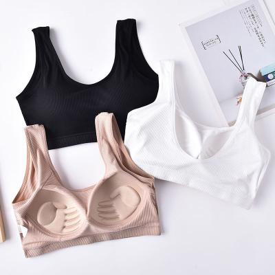 China Wholesale Custom Breathable Seamless Fitness Women Ladies Women Sports Bra Young Girl for sale