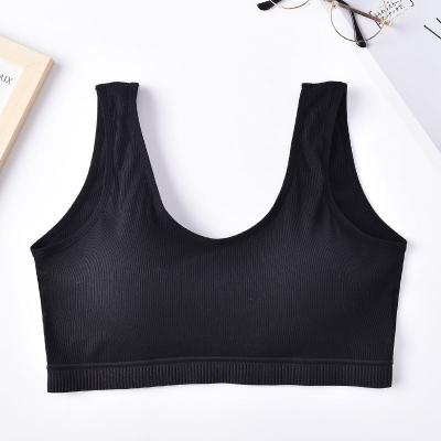 China Custom Logo Breathable Modern Women Cotton Fiber Seamless Bralette Sports Bra for sale