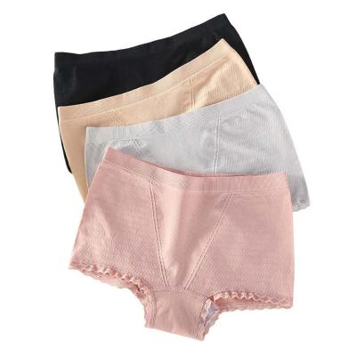 China Chinese Manufacturer Breathable Professional Quick Dry Briefs Mid Waist Underwear Panties for sale