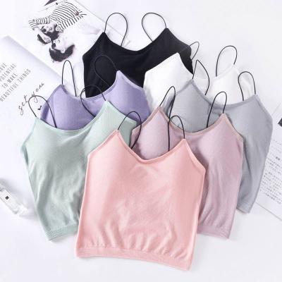 China Top Quality Knitwear Women's Breathable Camisole Top Knit Spaghetti Straps Cotton Tank Top for sale