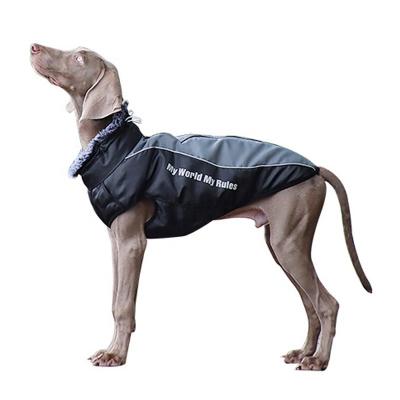 China Warm And Comfortable Winter Dog Clothes High Collar High End Vest Polyester Clothes Stored Winter Waterproof Dog Jacket for sale